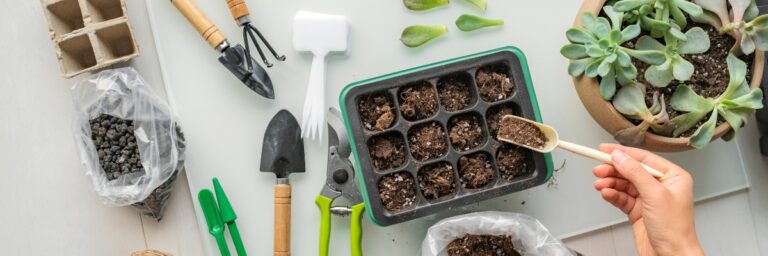 Gardening 101 Essential Tips for Beginners